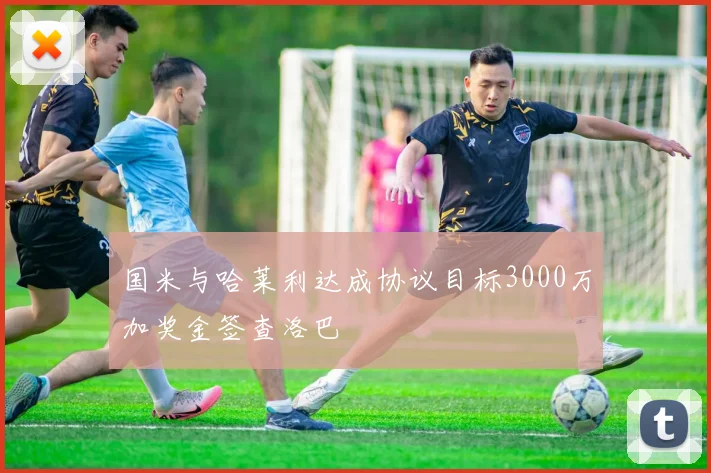 国米与哈莱利达成协议目标3000万加奖金签查洛巴